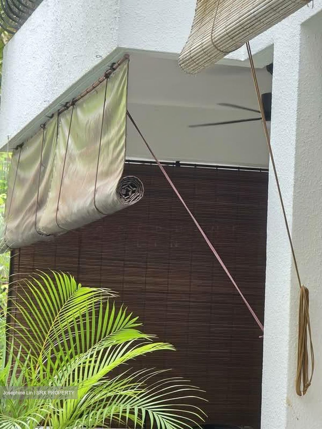 Tanglin Park (D10), Condominium #561305881
